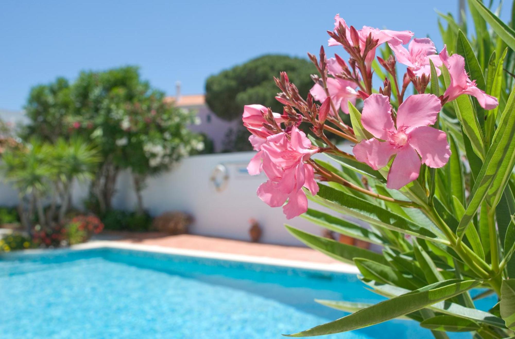 Apartamentos Turisticos Solلاغوس المظهر الخارجي الصورة